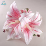 カサブランカページ C02023-P_1-150x150.jpg