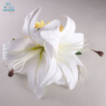 カサブランカ ページ カサブランカ クラシック ビキニ (ボトム) – Smart Swimsuits