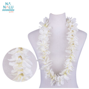 HL24032-5WH