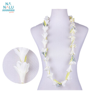 HL24034-5WH