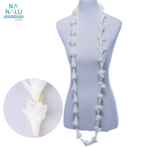 HL24034-7WH