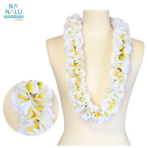 HL24036-6WH